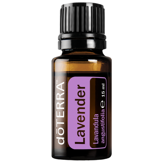 Lavender (Lavandula angustifolia) - 15 ml