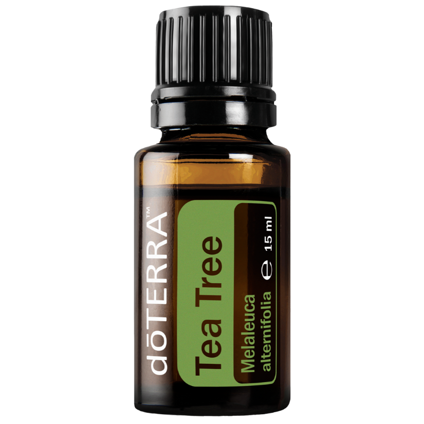 Tea Tree (Melaleuca alternifolia) - 15 ml